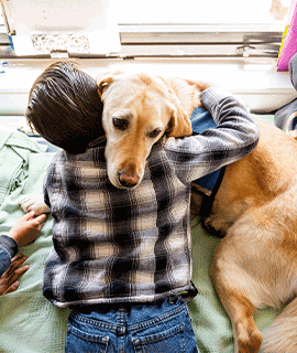 Pet therapy